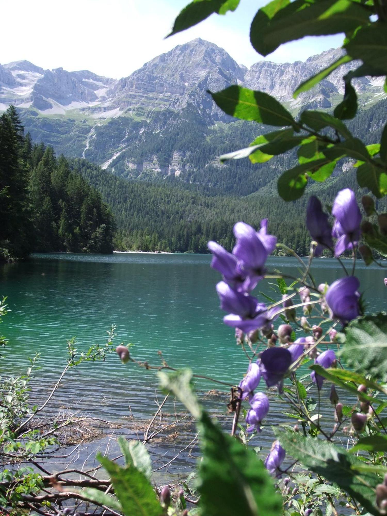 Active Hotel Monte Giner Mezzana  Luaran gambar